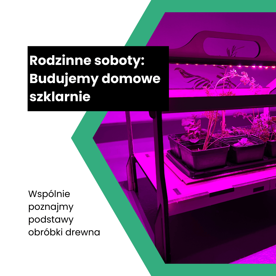 Rodzinne soboty: Zbuduj domową szklarnię