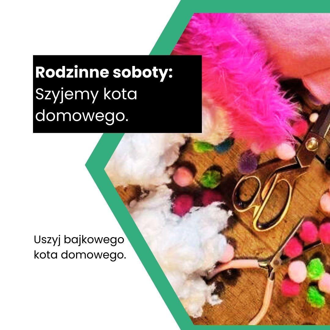 Rodzinne soboty: Kot domowy