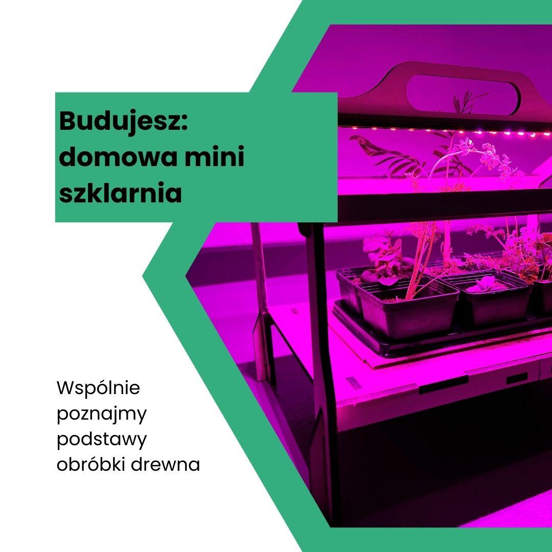 Spotkania z tworzeniem: Budujesz domową mini szklarnię