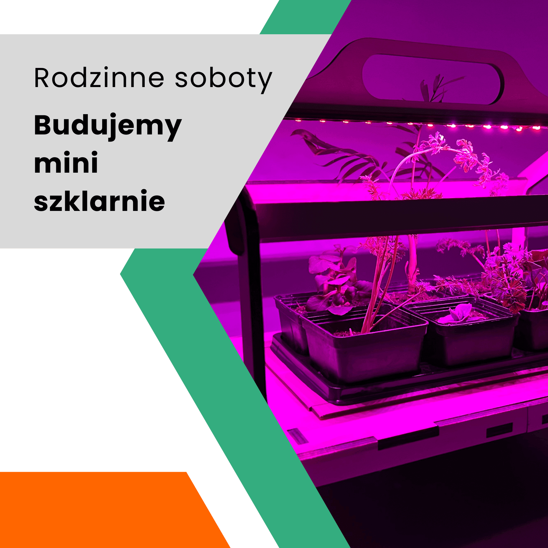 Rodzinne soboty: Budujemy mini szklarnie