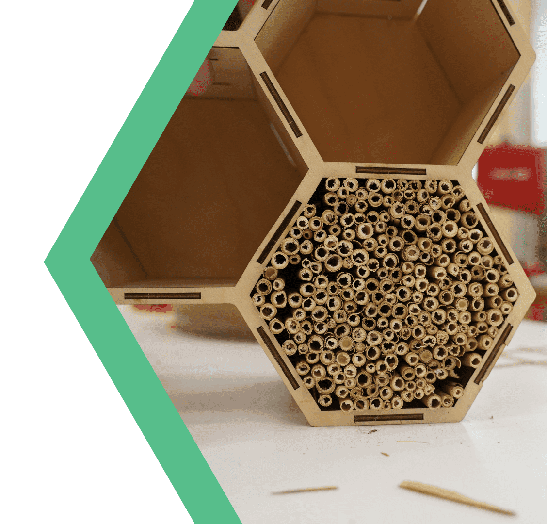 EKOlab: Domek dla dzikich zapylaczy