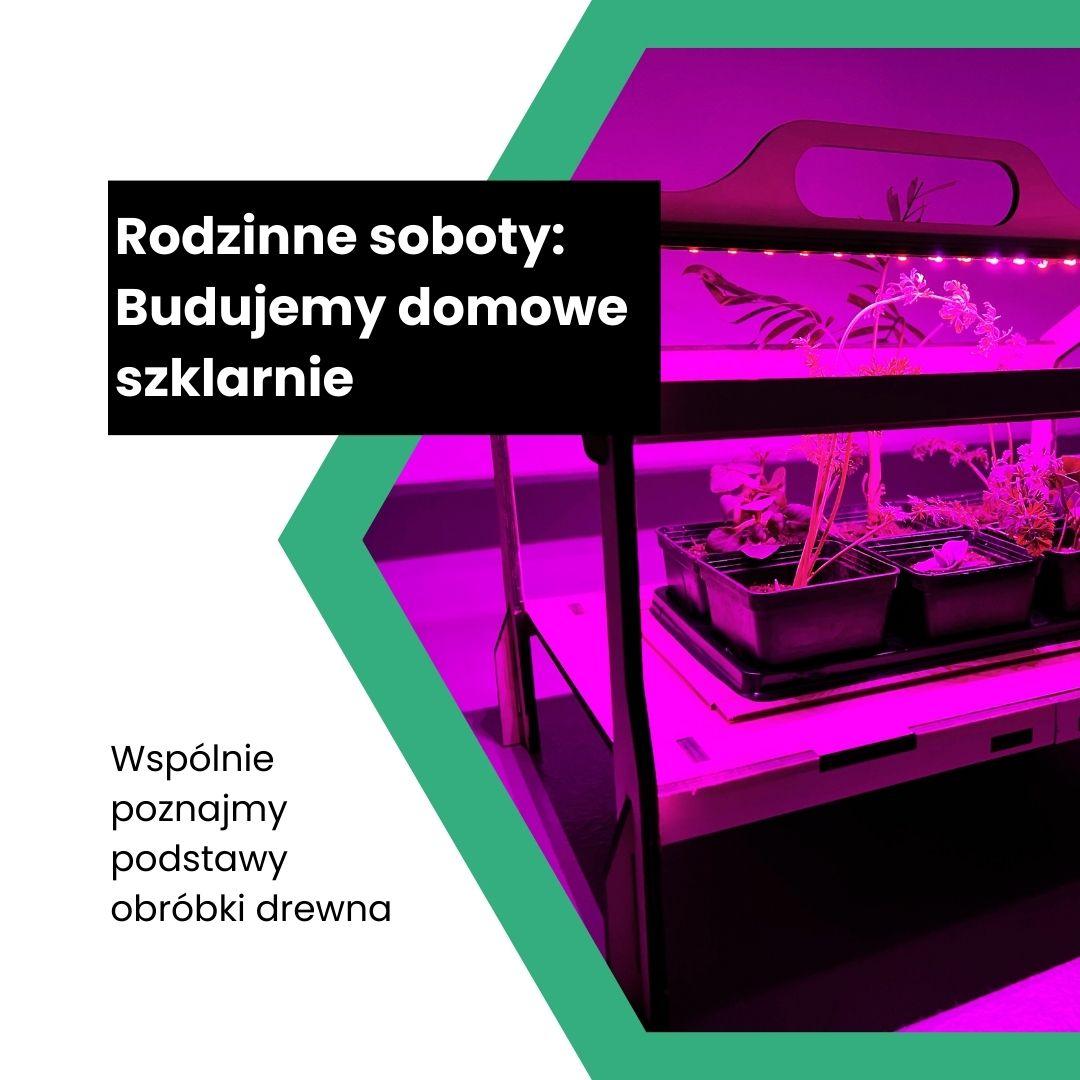 Budujemy domową mini szklarnię